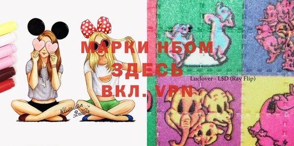 амф Зеленодольск